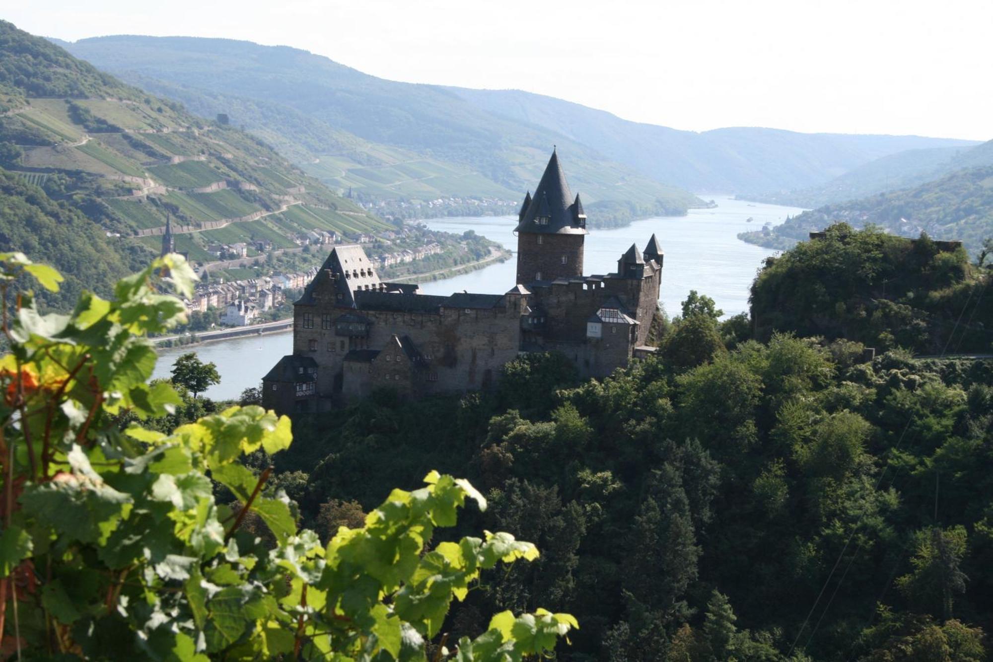 Ferienwohnungen Kachel Bacharach Exteriör bild